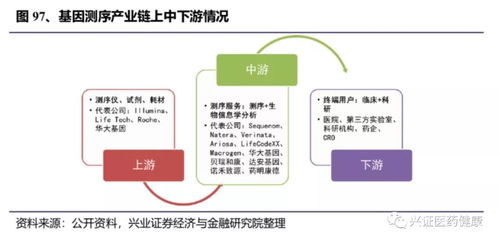 國(guó)產(chǎn)醫(yī)療器械替代進(jìn)口 化學(xué)發(fā)光與生化領(lǐng)域的突圍路徑全析